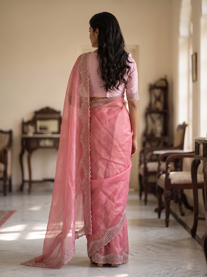 Tamasha-Premium Embellished Border Saree | Lightweight Festive & Party Wear Saree