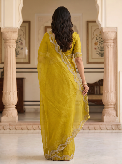 Tamasha-Premium Embellished Border Saree | Lightweight Festive & Party Wear Saree